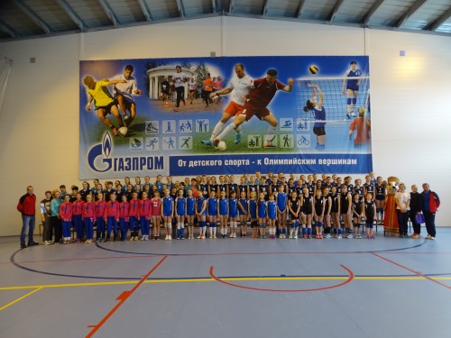 voleybol_1_w500_h375.JPG